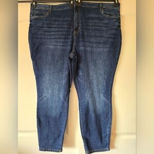 NWT Sonoma Skinny Jeans Size 30W/5x